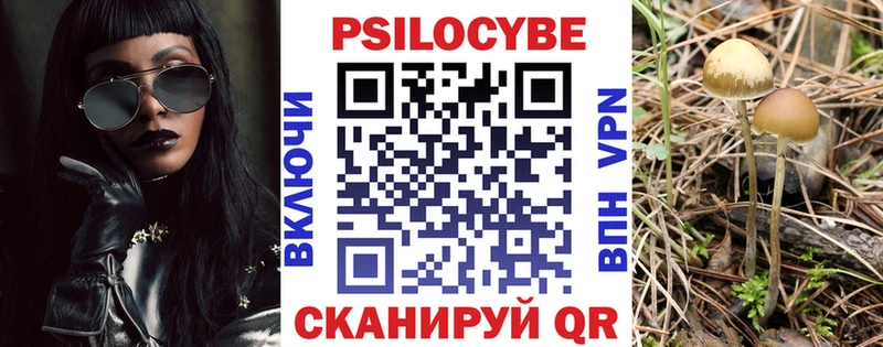Галлюциногенные грибы Psilocybine cubensis  Купить  Котельниково 